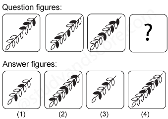 Non verbal reasoning, Series practice questions with detailed solutions, Series question and answers with explanations, Non-verbal series, series tips and tricks, practice tests for competitive exams, Free series practice questions